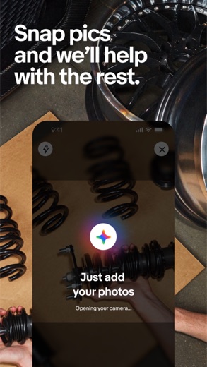 eBay screenshot 3
