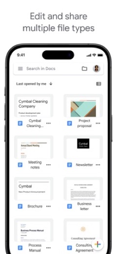 Google Docs screenshot 2
