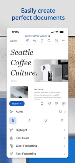 Microsoft Word screenshot 3