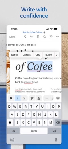 Microsoft Word screenshot 4