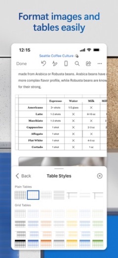 Microsoft Word screenshot 5