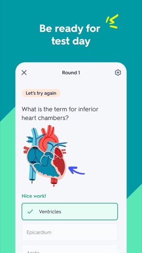 Quizlet screenshot 4