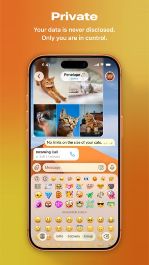 Telegram screenshot 3
